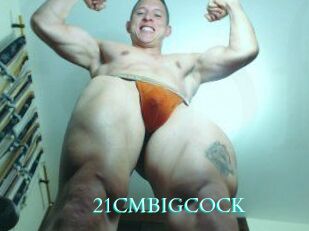 21CMBIGCOCK