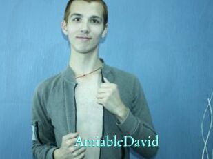 AmiableDavid