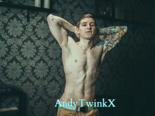 AndyTwinkX