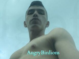 AngryBirdions