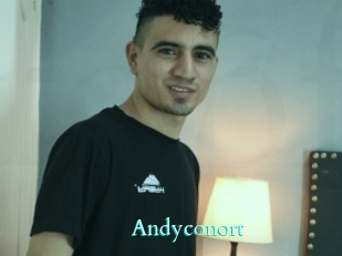 Andyconort