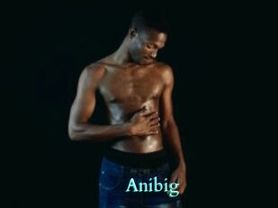 Anibig