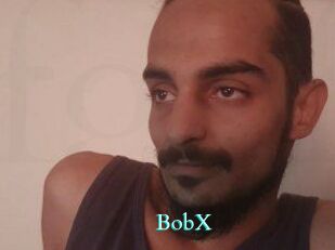 BobX