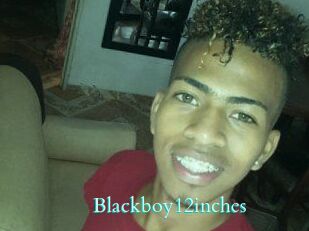 Blackboy12inches