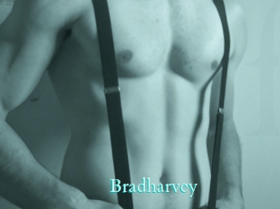 Bradharvey