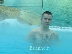 Brianhorn