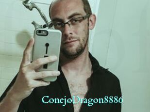 ConejoDragon8886