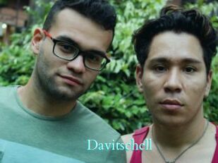 Davitschell