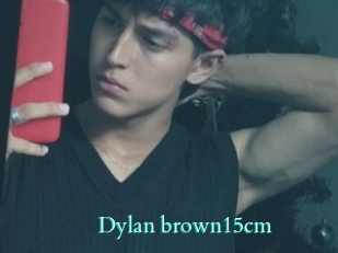 Dylan_brown15cm