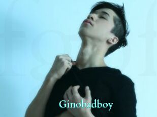 Ginobadboy