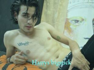 Harrys_bigstick