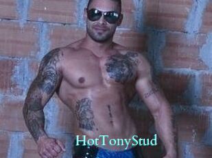 HotTonyStud