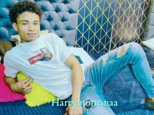 Harrymontanaa