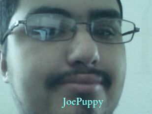 JoePuppy