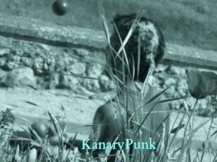 KanaryPunk