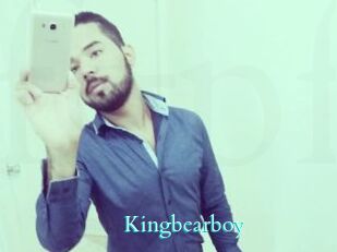 Kingbearboy