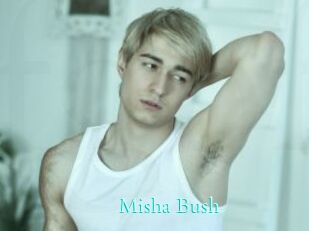 Misha_Bush