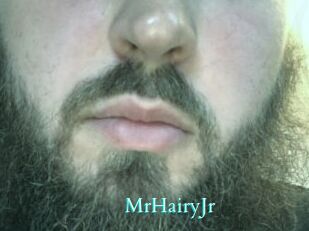 MrHairyJr