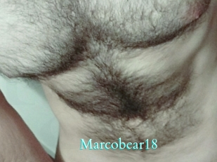 Marcobear18