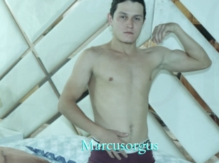 Marcusorgus