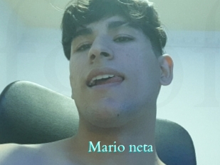 Mario_neta