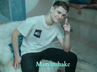 Marvinshake