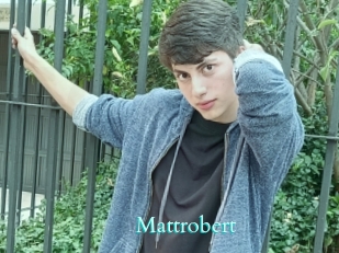 Mattrobert