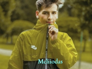 Meliiodas