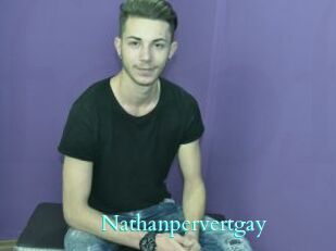 Nathanpervertgay