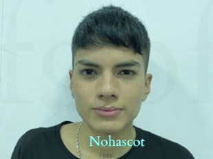 Nohascot