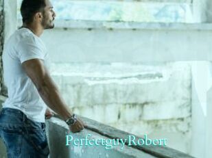 PerfectguyRobert