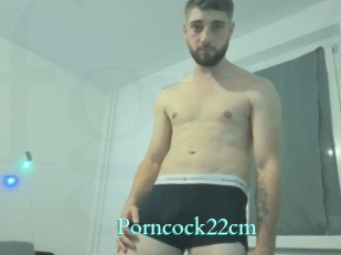 Porncock22cm