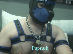 Puprush