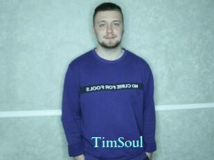 TimSoul