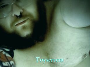 Toyservent