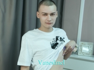 Vaneslinel