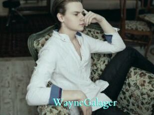 WayneGalager