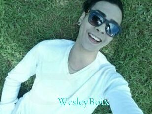 Wesley_Boix